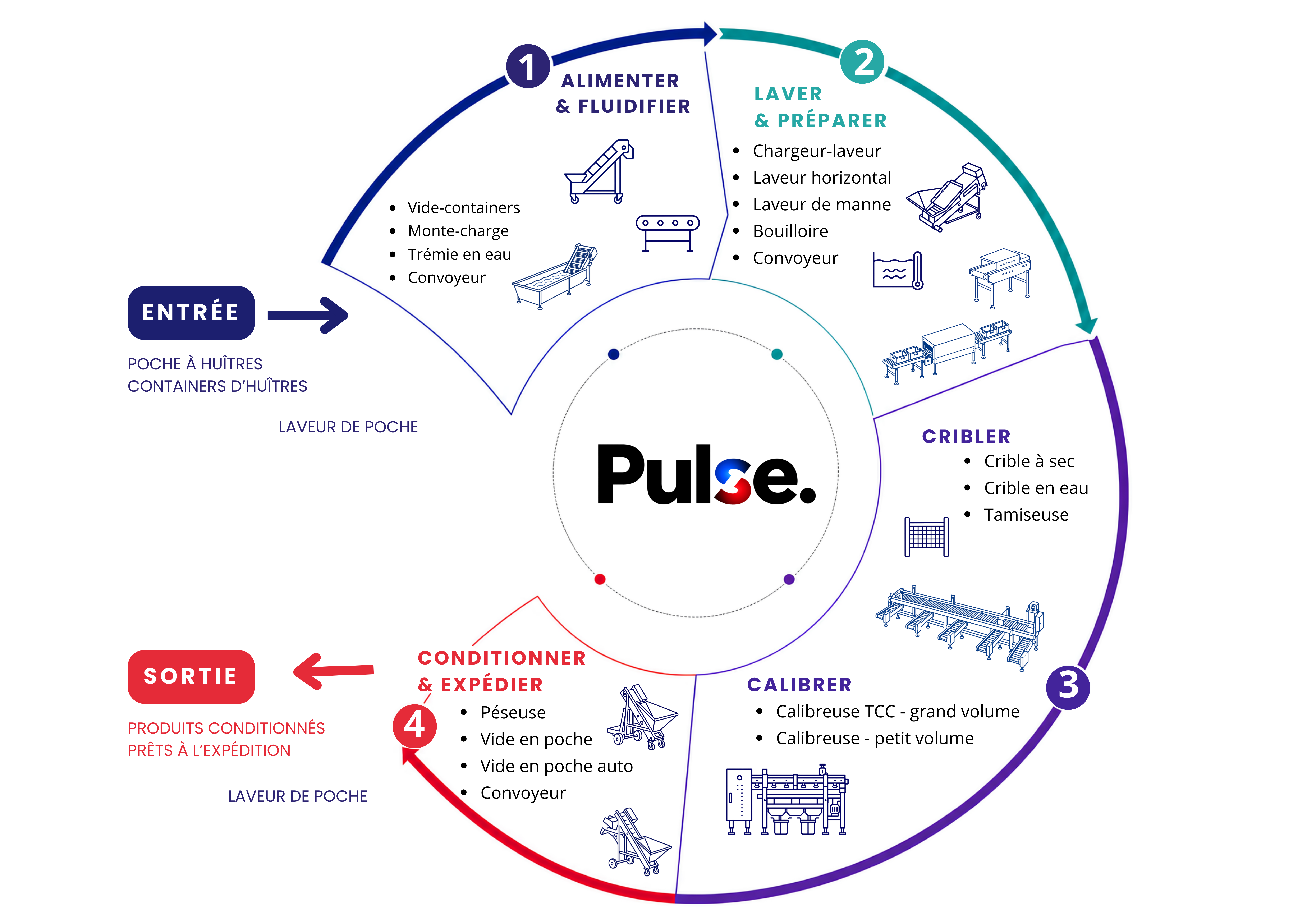 Vue d'ensemble d'une ligne de traitement conchylicole PULSE